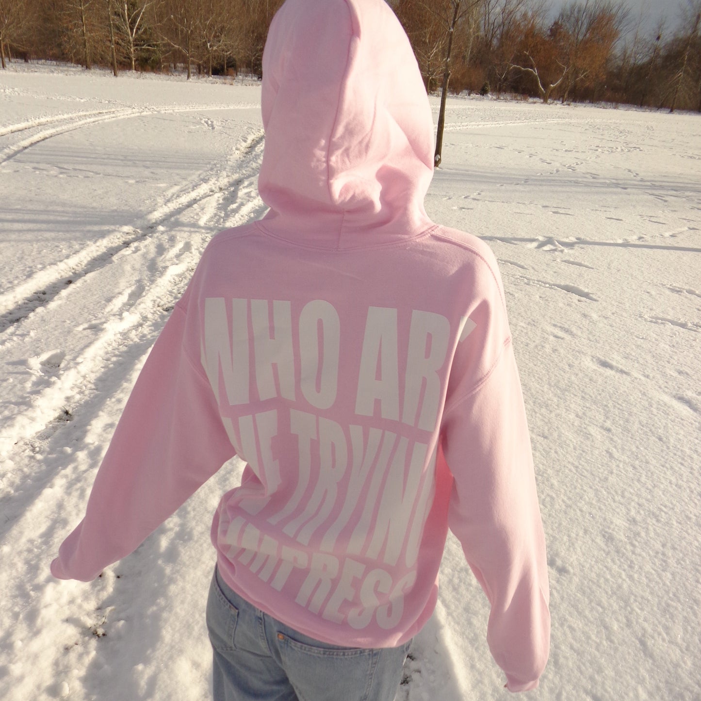 who are we trying to impress hoodie