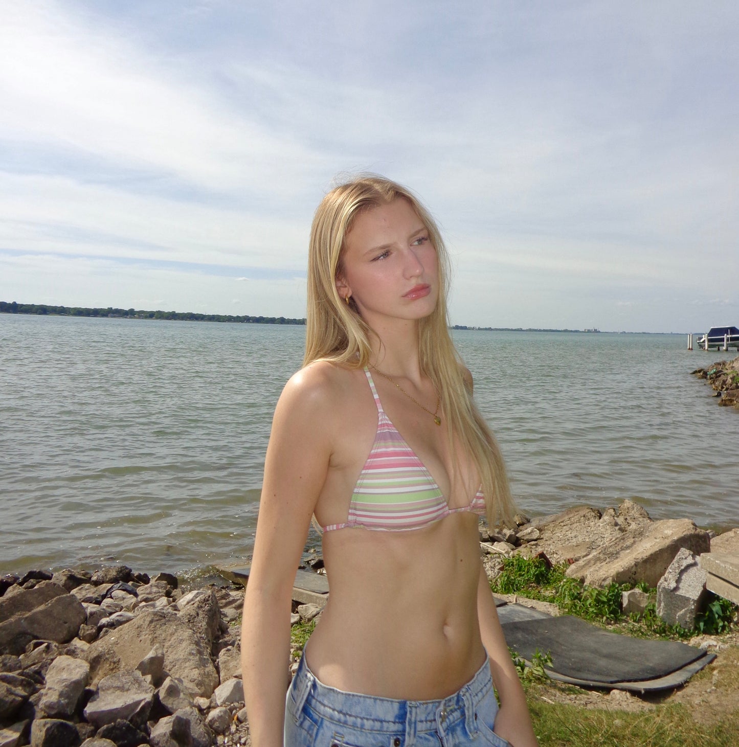 daydream stripe bikini top